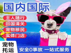 潮汕机场快运国际宠物托运 【国